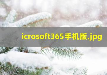 icrosoft365手机版