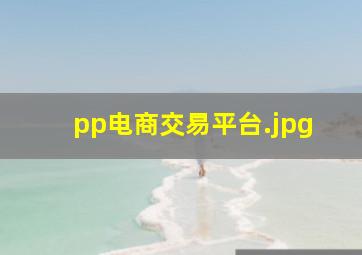 pp电商交易平台
